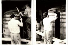 brigada-v-pivovarskem-parku-1974_3-17