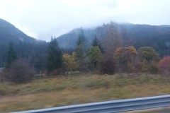 20251021_074251