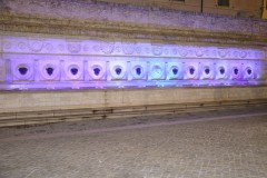 DSC0007