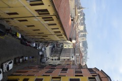 DSC0010
