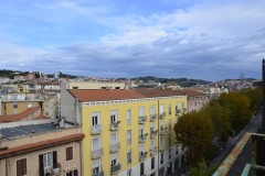DSC0018