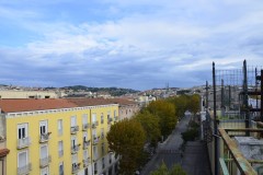 DSC0019