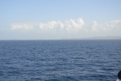 DSC0051