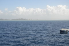 DSC0060