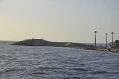 DSC0102