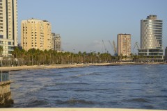 DSC0104