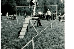 hra-Plamen-Dlouha-Loucka-8.6.1975_13-30