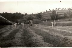 hasicske-cviceni-1943_14-14-scaled