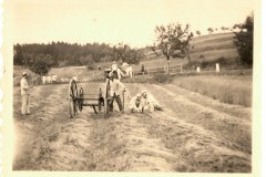 hasicske-cviceni-1943_4-14