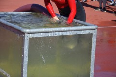 DSC0431