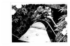 pohreb-Aloise-Ambroze_24-24