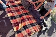 IMG-20260906-WA0068