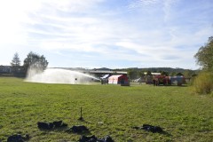 DSC0197