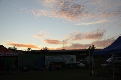 DSC0231