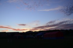 DSC0236