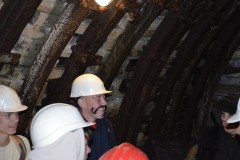 1_DSC0029
