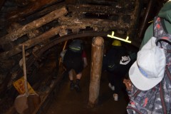 1_DSC0052