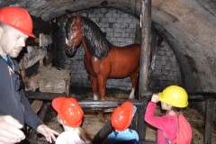 1_DSC0053
