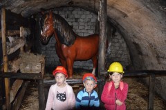 1_DSC0054