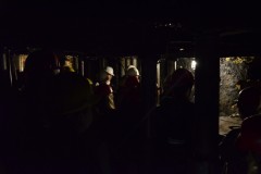 DSC0042