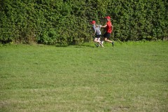 DSC0207
