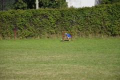 DSC0209