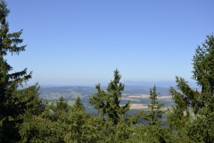 DSC0006