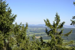 DSC0007
