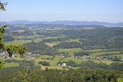DSC0054