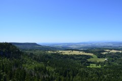 DSC0068