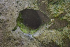 DSC0150