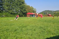 IMG-20250814-WA0008