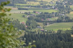 DSC0096