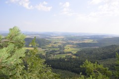 DSC0097
