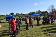 IMG-20240428-WA0049