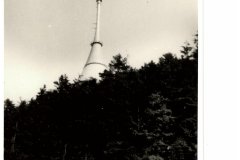 zajezd-16.71971_15-18